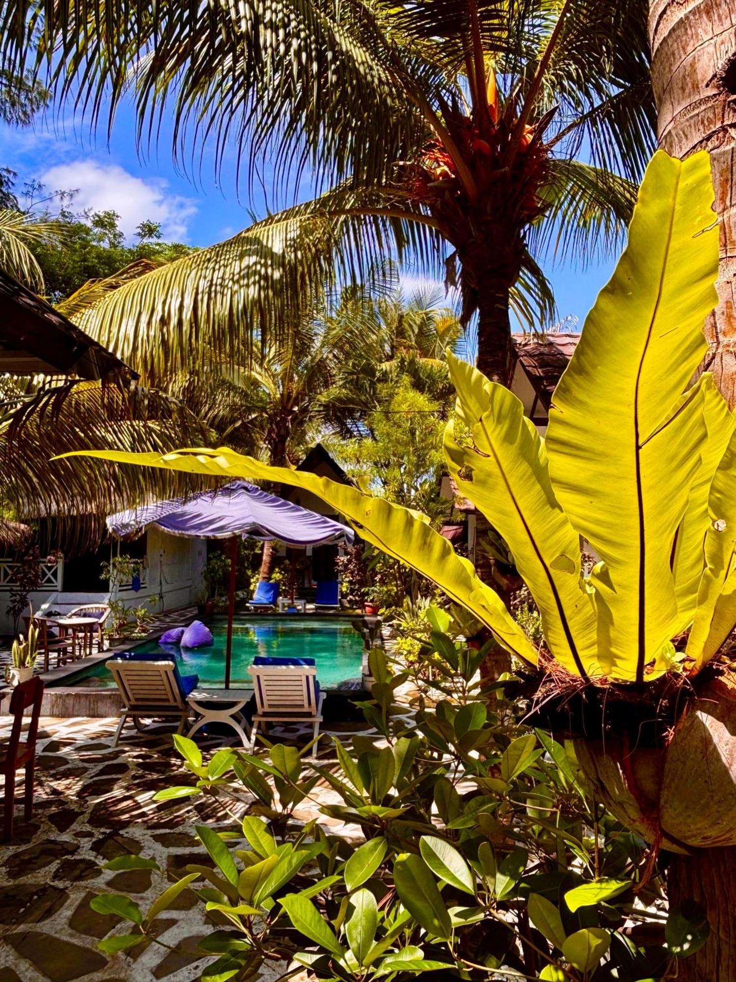 Alibaba Bungalows Gili Air Luaran gambar